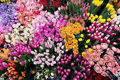 《无主之地4》发售一个月后 Steam玩家流失85%